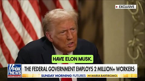 Musk's New Role: Trimming Fat From Government Spending