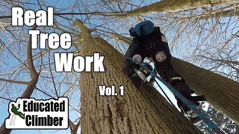 Real Tree Work Vol. 1 | Climbing and Rigging Dead Ash Trees 2019 | Arborist Adventures