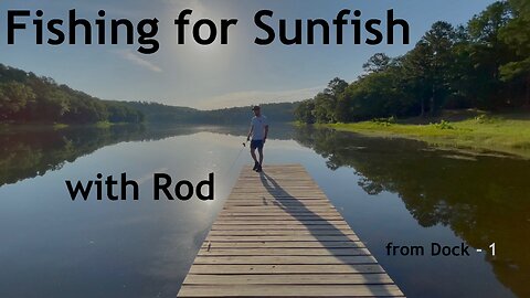 Fishing for Sunfish with Rod from Dock - 1