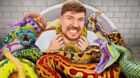 would sit snake game