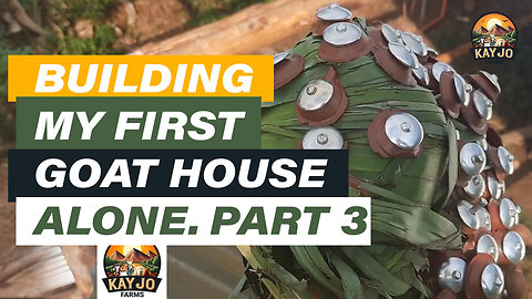 Building My First Goat House Alone Part 3 | ep6 #goats #goatfarming