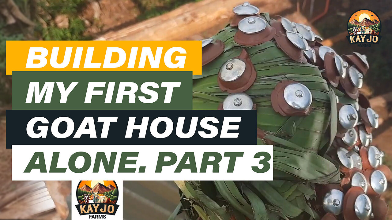 Building My First Goat House Alone Part 3 | ep6 #goats #goatfarming