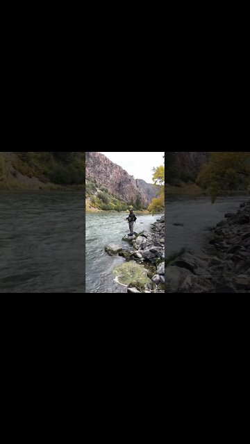 Yeah that just happened. #flyfishing #chunkyisthenewhunky #trout