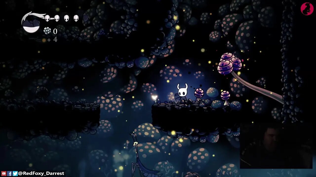 Hollow knight