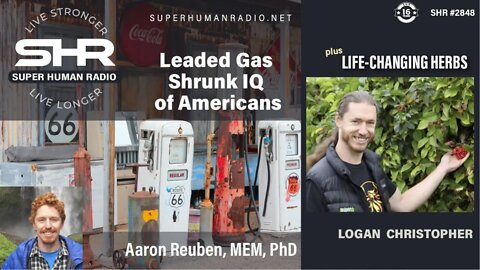 Leaded Gas Shrunk IQ of Americans + Life-Changing Herbs