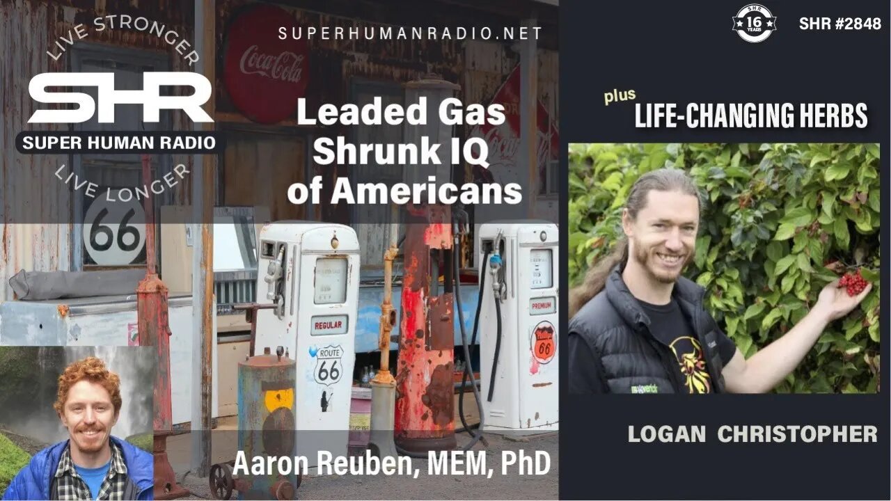 Leaded Gas Shrunk IQ of Americans + Life-Changing Herbs