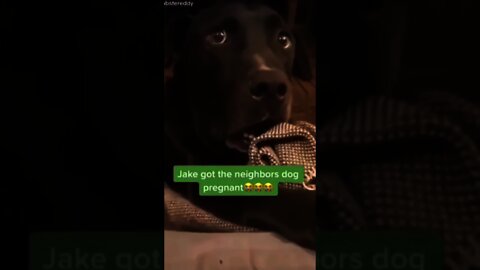 His face is priceless after the "good" news😂🥺