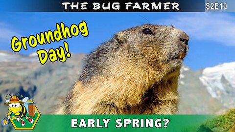 Groundhog Day! It's Official -- Early Spring! Quick Hive Update and planting for spring.
