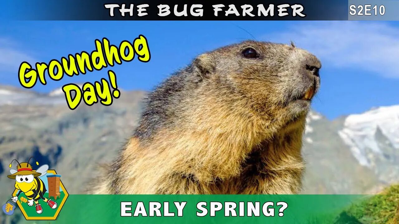 Groundhog Day! It's Official -- Early Spring! Quick Hive Update and planting for spring.