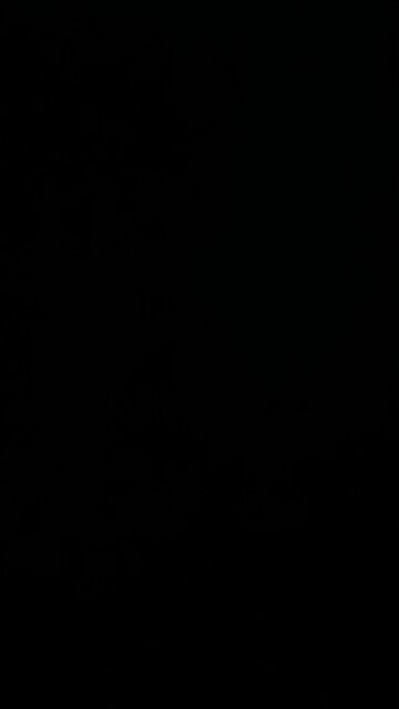 A post American future