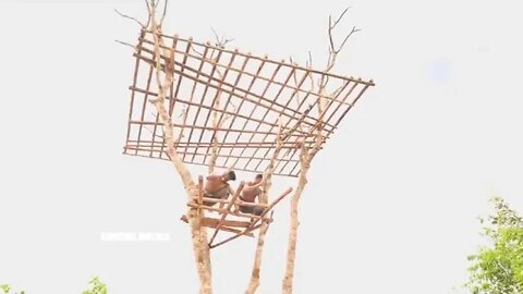 How + To + Build + 15m + Tree + House + And + Swimming + Pools + Part + I