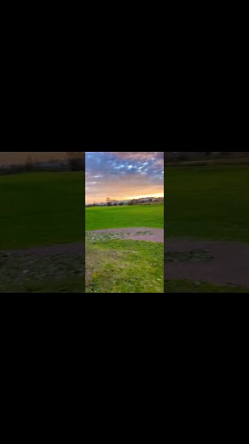 Trees Down after Hurricane Fiona 2022