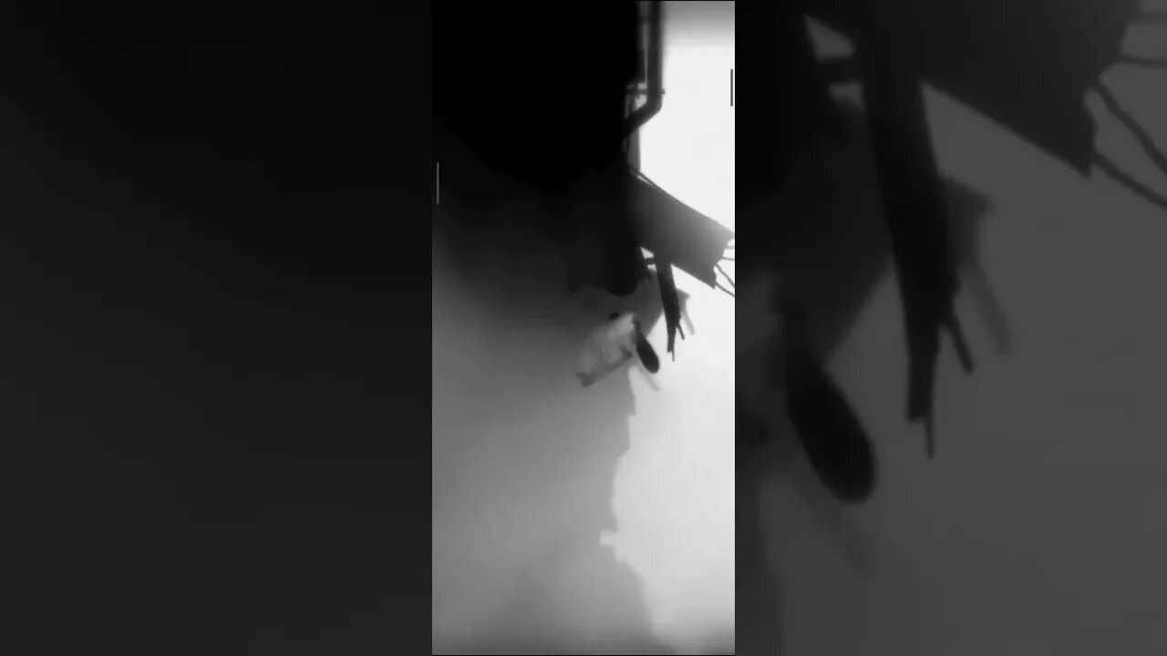 LIMBO @NEWxXxGames #limbo