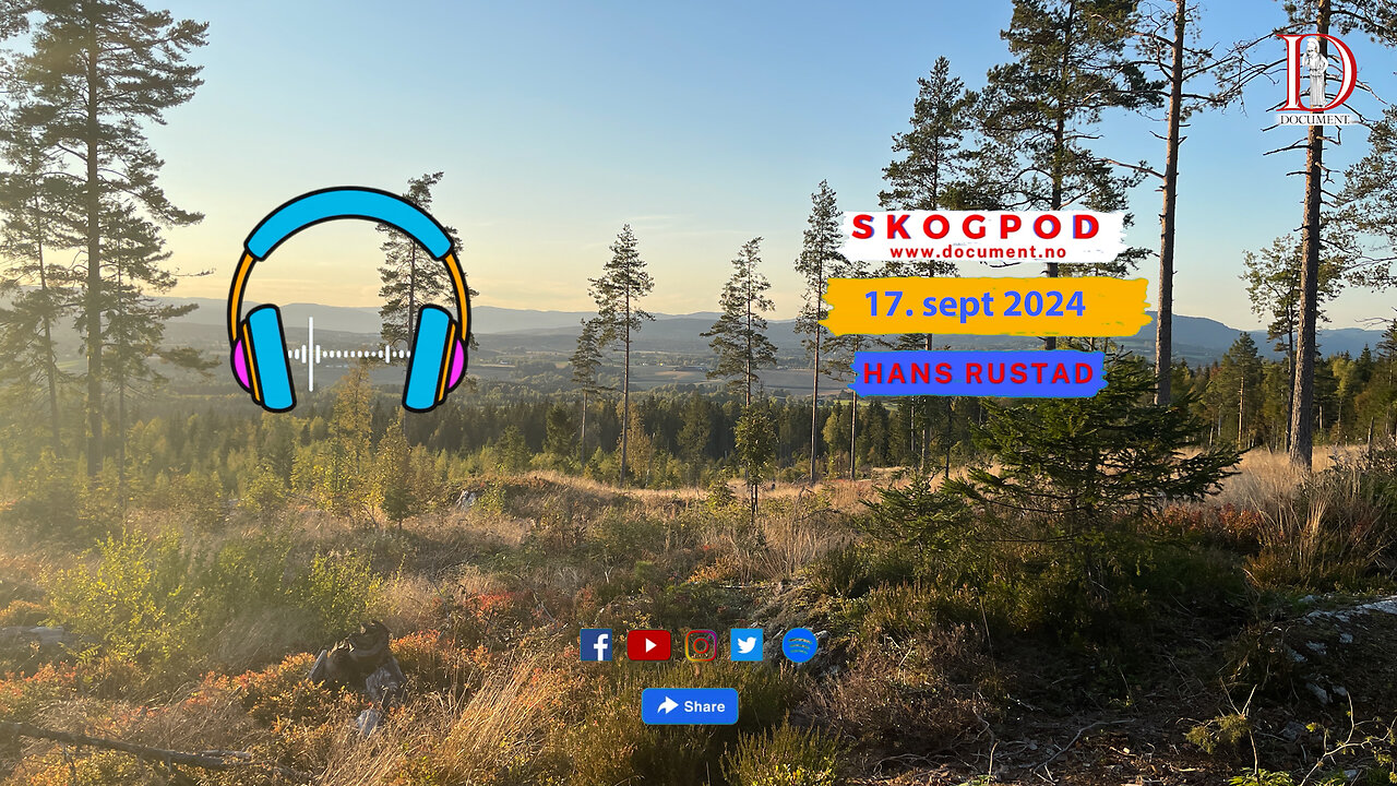 Skogpod 17. september 2024