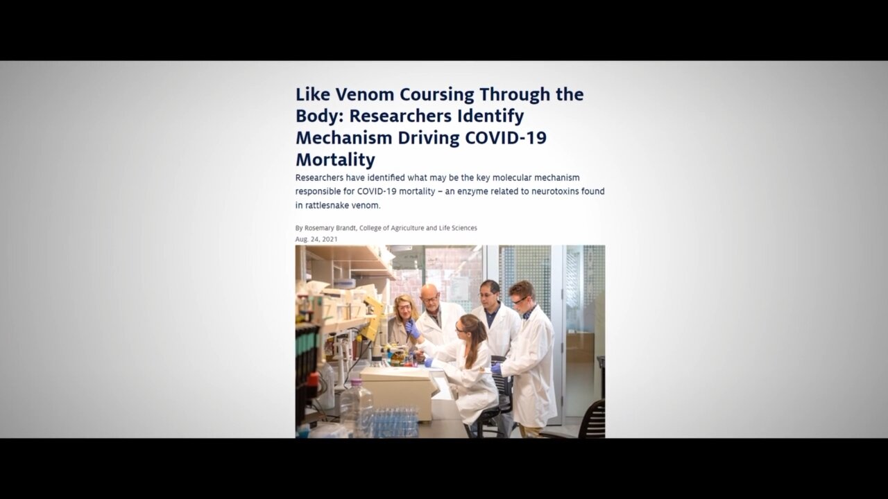 ⚠️ Virus & Vaccine Created from Royal King Cobra [Reptilian] Venom—Not Bats!