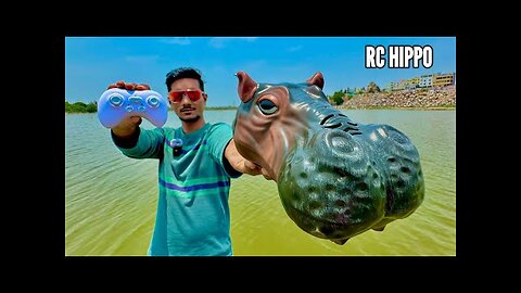 Rc Realistic hippopotamus Unboxing & Testing - Chatpat toy tv