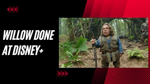Unbelievable! Find Out What Happened to 'Willow' After Just One Season