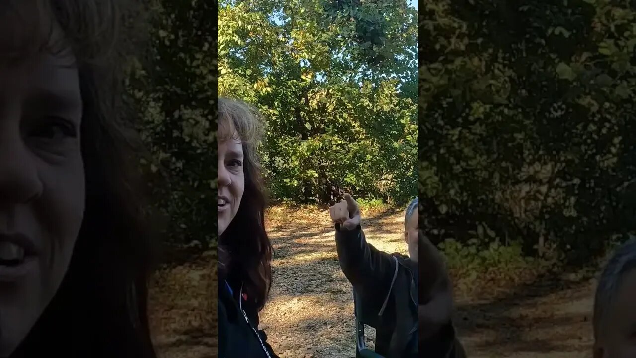 https://youtu.be/9c33QLxXOLE