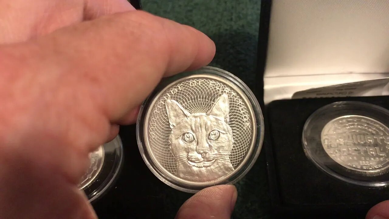 Final Furtitude Frenzy!