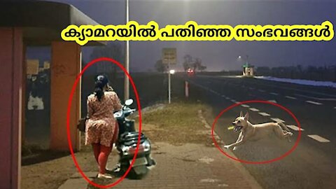 human life saved by animals| viral videos