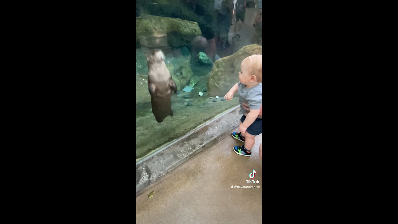 Baby Visits The Aquarium.