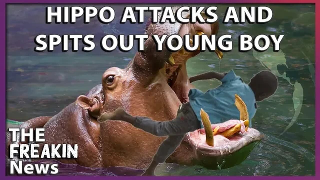 Two Year Old African Boy Spit Out By Hippo After Being Rescued By Bystander