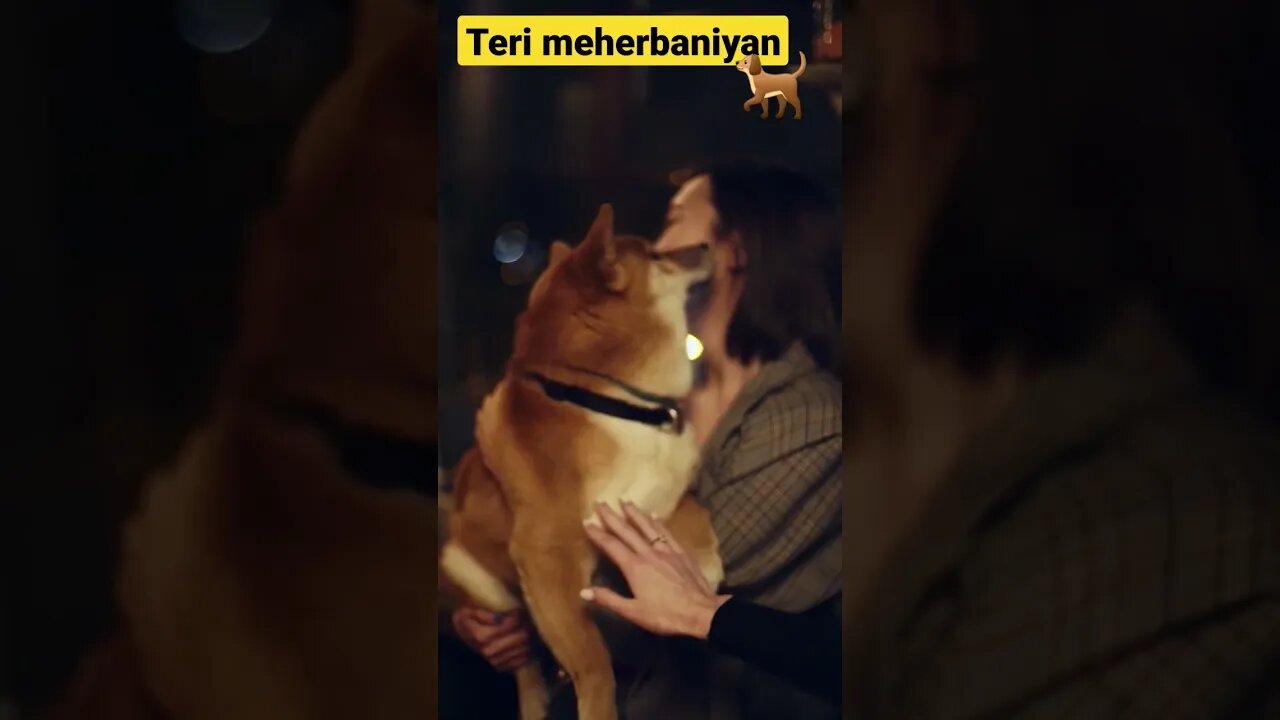 Teri meherbaniyan l wodworking art skill l @CrazyXYZ @Mm5.0startlingyoutubeshorts l #shorts