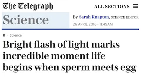 Bright Flash Of Light Marks Incredible Moment Life Begins When Sperm Meets Egg!