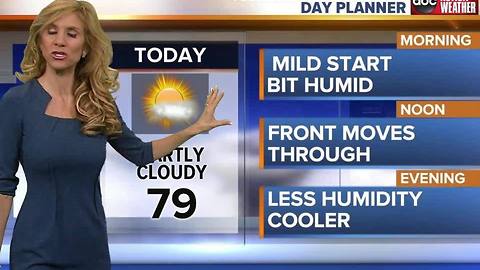 ABC ACTION WEATHER FORECAST
