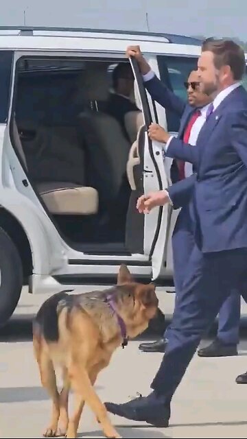 JDVance has a nice German Shepard