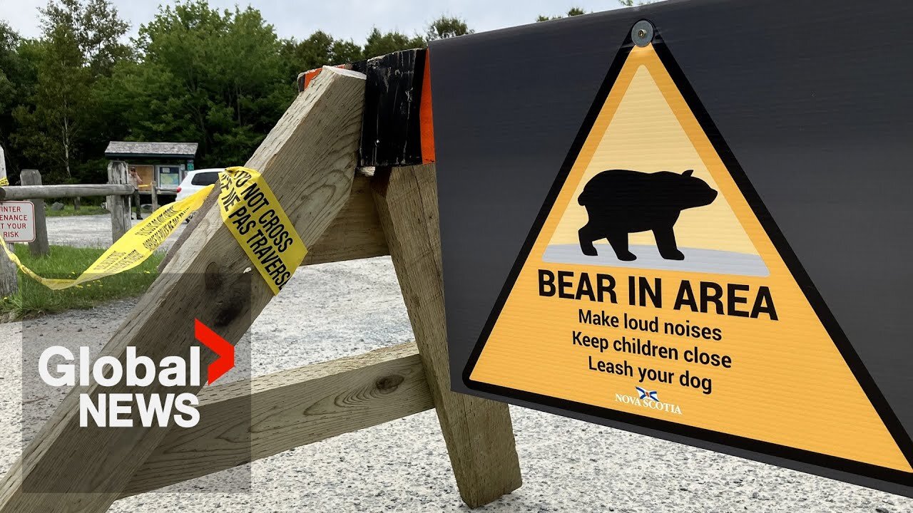 Halifax-area trail closed after possible bear attack