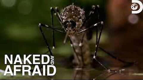 Brian is ATTACKED by mosquitos! Naked and Afraid