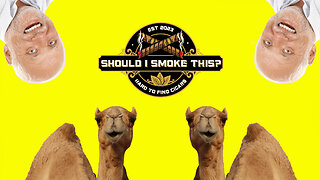 HUMP DAY LIVE with The Industry Killers! CIGAR QUESTIONS & Deals!