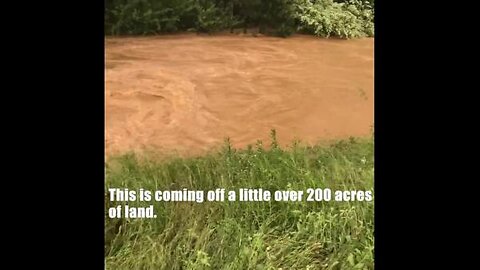 EXPLORING THE CYCLES OF NATURE_ The Water Cycle.mp4