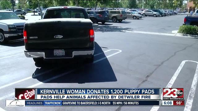 Kernville Women Donates 1,200 Puppy Pads