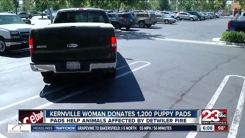 Kernville Women Donates 1,200 Puppy Pads