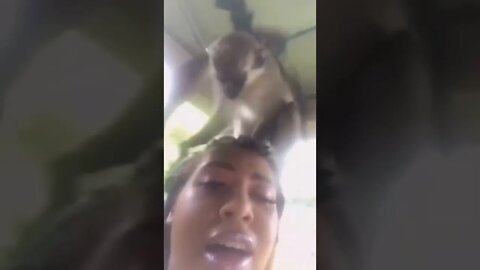 😂😂full fun comedy video caught on camera😜 comedy video 😜😂😂 masti masala😂😂 whatsapp video #shorts(5)