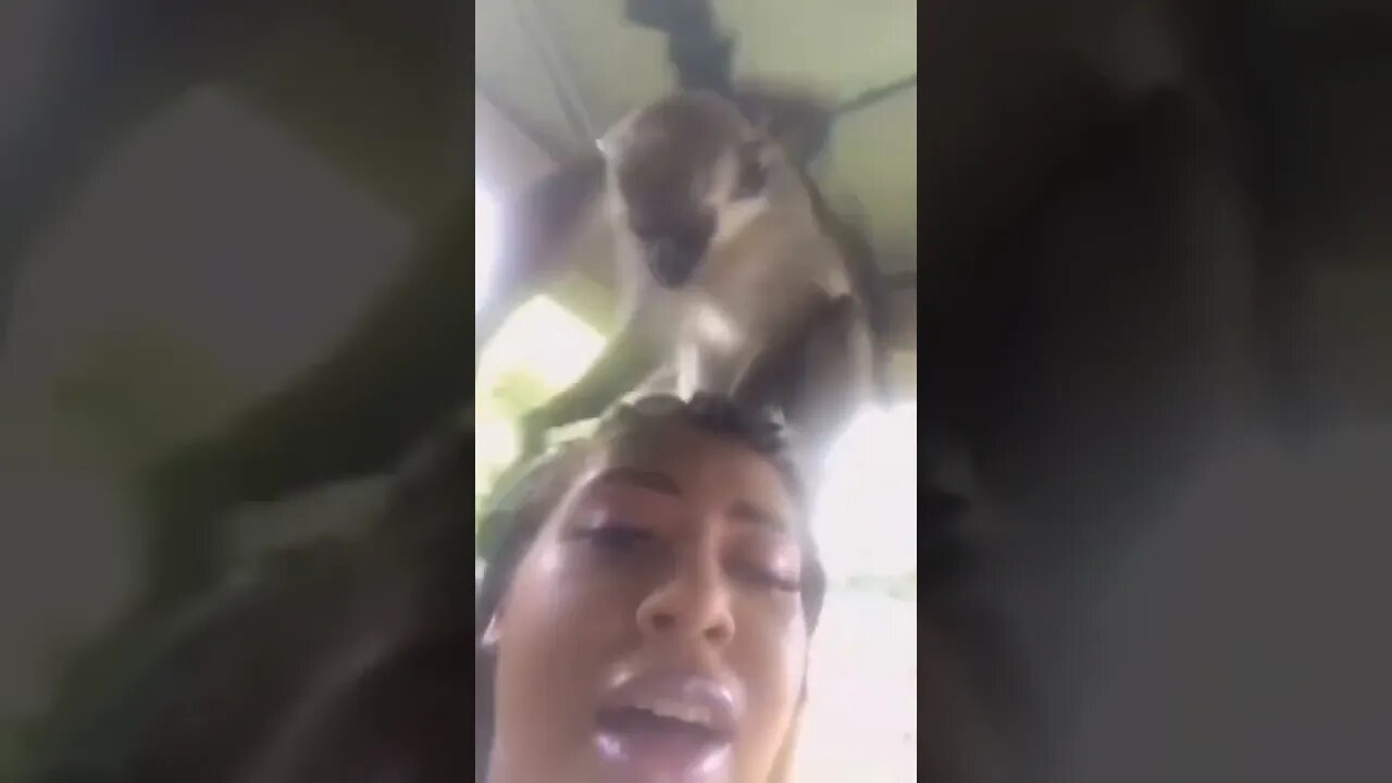 ๐๐full fun comedy video caught on camera๐ comedy video ๐๐๐ masti masala๐๐ whatsapp video #shorts(5)