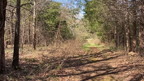 the Higgerson Farm (Wilderness Battlefield)