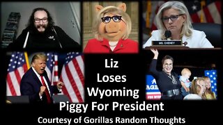 Liz Cheney Lost: Me & Trump Celebrate & Dance