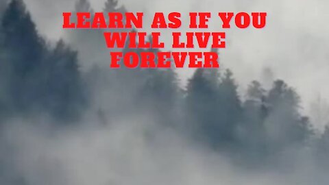 Learn as if you will live forever #shorts #motivation