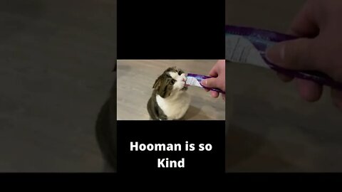 Thank You Hooman