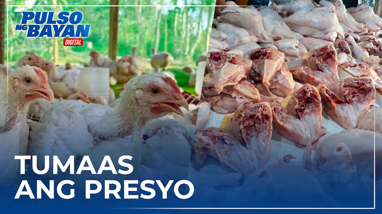 Presyo ng manok sa pamilihan, umabot na sa P250/kg; pananamantala sa presyo, nakikitang dahilan