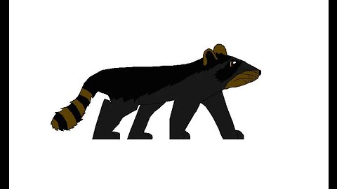 Cooncat