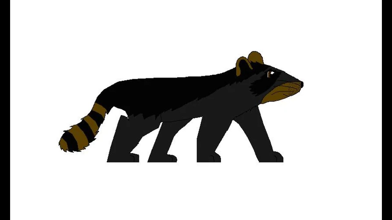 Cooncat