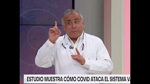 TVN - Estudio muestra como enfermedad ataca el sistema vascular