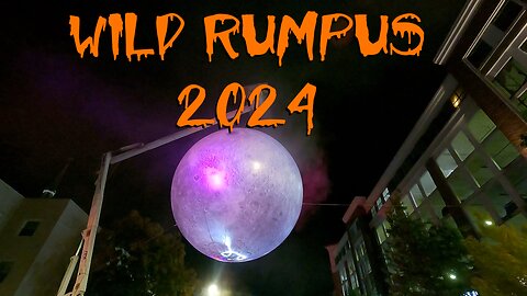 Wild Rumpus 2024