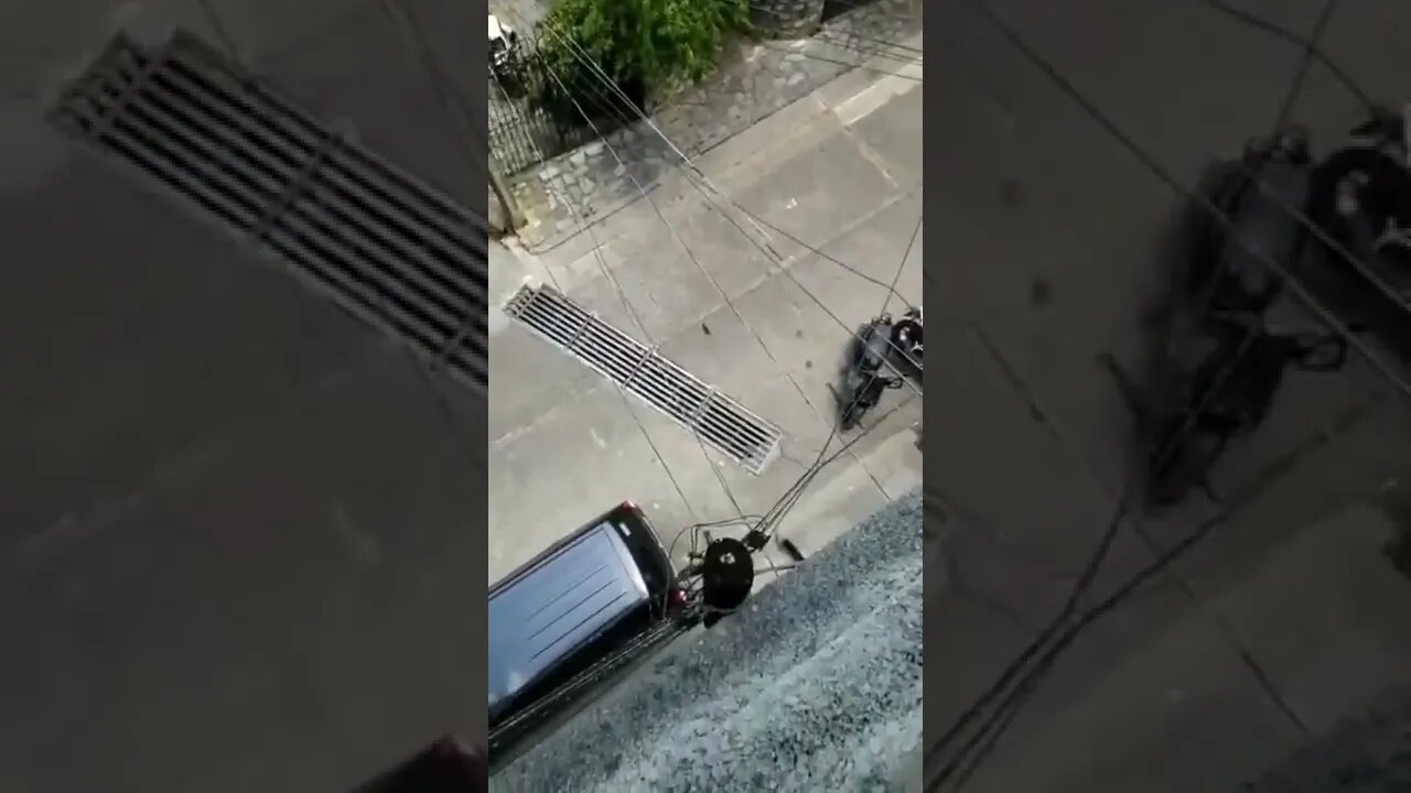 O rato voou 🐀