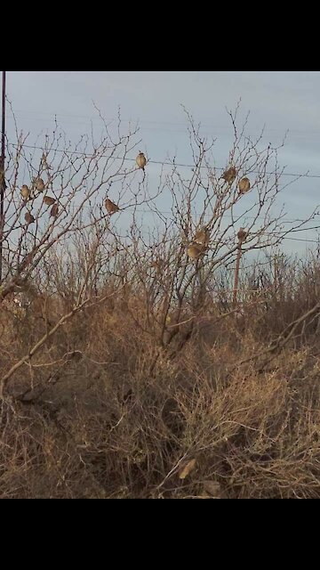 Exploring a Ghost town in West Texas