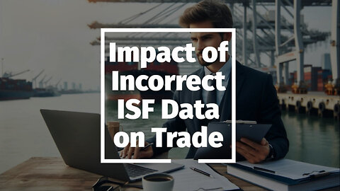 Unveiling the Consequences of Incorrect Importer Security Filing Data